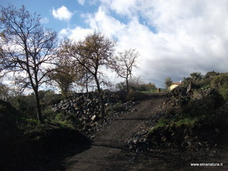Cava Pauloti